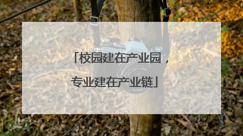 校园建在产业园，专业建在产业链