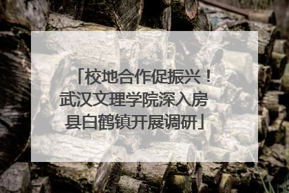 校地合作促振兴！武汉文理学院深入房县白鹤镇开展调研