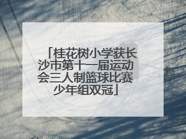 桂花树小学获长沙市第十一届运动会三人制篮球比赛少年组双冠