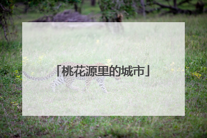 桃花源里的城市