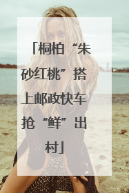 桐柏“朱砂红桃”搭上邮政快车抢“鲜”出村