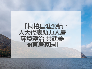 桐柏县淮源镇：人大代表助力人居环境整治 共建美丽宜居家园
