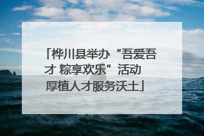 桦川县举办“吾爱吾才 粽享欢乐”活动 厚植人才服务沃土