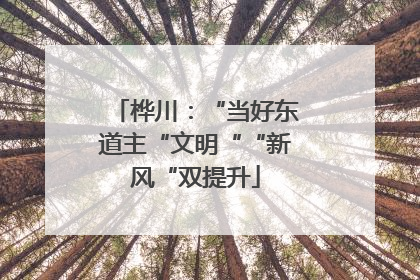 桦川：“当好东道主“文明““新风“双提升