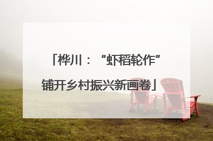 桦川：“虾稻轮作”铺开乡村振兴新画卷