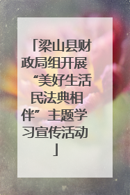 梁山县财政局组开展“美好生活 民法典相伴”主题学习宣传活动