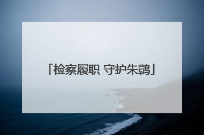 检察履职 守护朱鹮