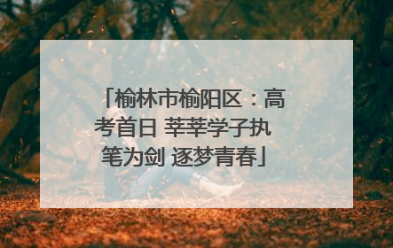 榆林市榆阳区：高考首日 莘莘学子执笔为剑 逐梦青春