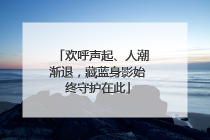 欢呼声起、人潮渐退，藏蓝身影始终守护在此