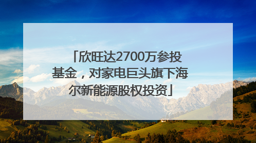 欣旺达2700万参投基金，对家电巨头旗下海尔新能源股权投资