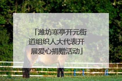 潍坊寒亭开元街道组织人大代表开展爱心捐赠活动