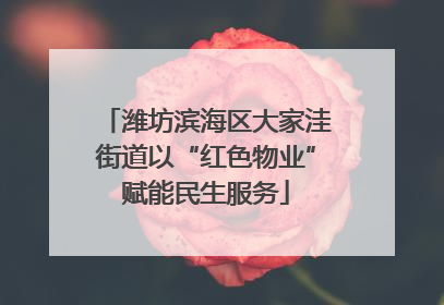 潍坊滨海区大家洼街道以“红色物业”赋能民生服务