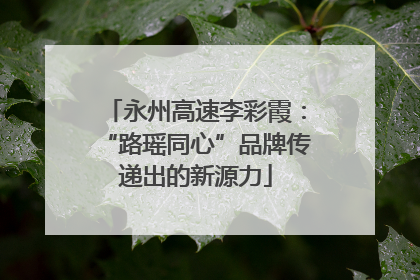 永州高速李彩霞：“路瑶同心”品牌传递出的新源力
