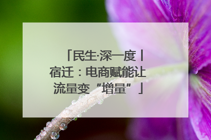 民生·深一度丨宿迁：电商赋能让流量变“增量”