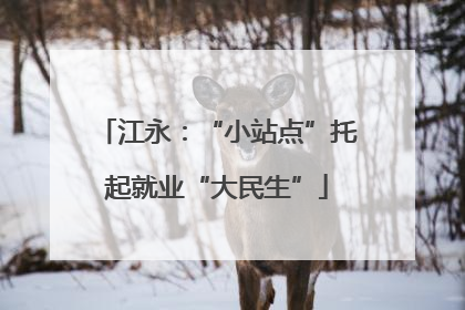 江永：“小站点”托起就业“大民生”