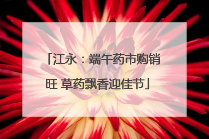 江永：端午药市购销旺 草药飘香迎佳节