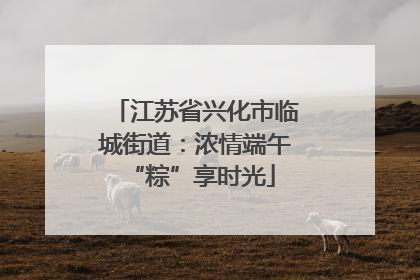 江苏省兴化市临城街道：浓情端午 “粽”享时光