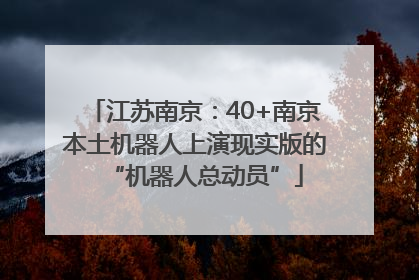 江苏南京：40+南京本土机器人上演现实版的“机器人总动员”