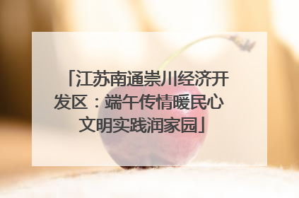 江苏南通崇川经济开发区：端午传情暖民心 文明实践润家园