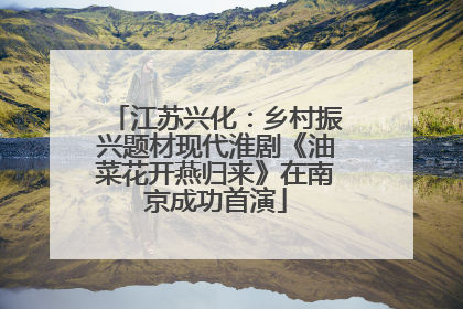 江苏兴化：乡村振兴题材现代淮剧《油菜花开燕归来》在南京成功首演