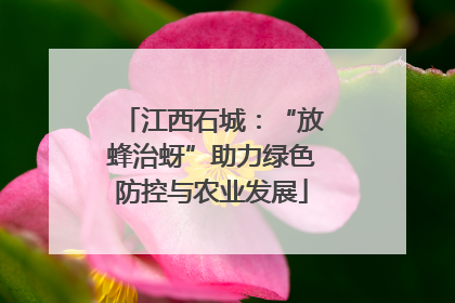 江西石城：“放蜂治蚜”助力绿色防控与农业发展