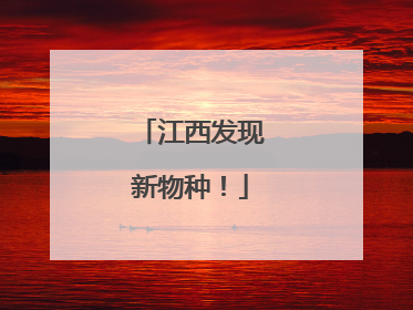 江西发现新物种！