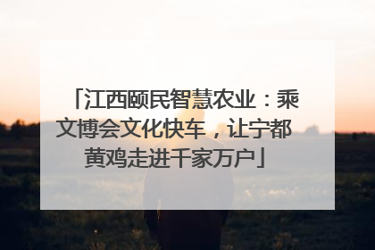 江西颐民智慧农业：乘文博会文化快车，让宁都黄鸡走进千家万户