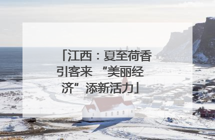 江西：夏至荷香引客来 “美丽经济”添新活力