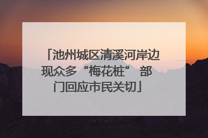 池州城区清溪河岸边现众多“梅花桩” 部门回应市民关切