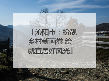 沁阳市：扮靓乡村新画卷 绘就宜居好风光