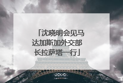 沈晓明会见马达加斯加外交部长拉萨塔一行