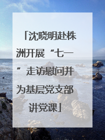 沈晓明赴株洲开展“七一”走访慰问并为基层党支部讲党课