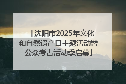 沈阳市2025年文化和自然遗产日主题活动暨公众考古活动季启幕