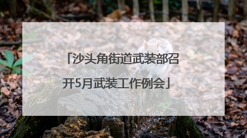 沙头角街道武装部召开5月武装工作例会