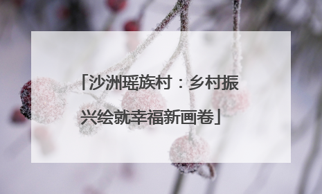 沙洲瑶族村：乡村振兴绘就幸福新画卷