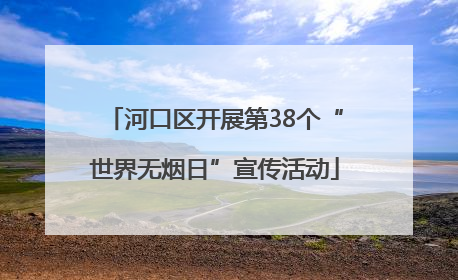 河口区开展第38个“世界无烟日”宣传活动
