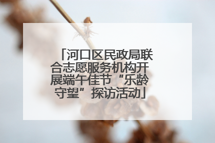河口区民政局联合志愿服务机构开展端午佳节“乐龄守望”探访活动