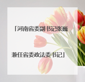 河南省委副书记张巍兼任省委政法委书记