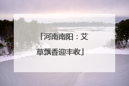 河南南阳：艾草飘香迎丰收