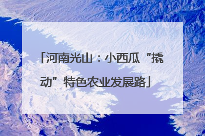 河南光山：小西瓜“撬动”特色农业发展路