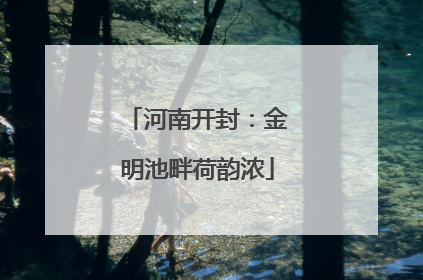河南开封：金明池畔荷韵浓