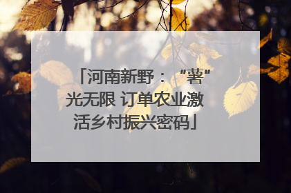 河南新野：“薯”光无限 订单农业激活乡村振兴密码