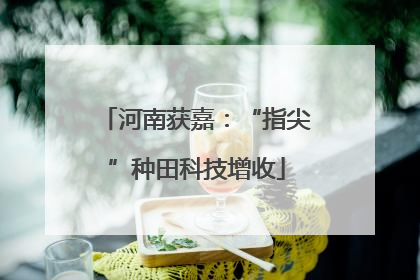 河南获嘉：“指尖”种田科技增收
