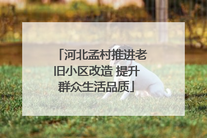 河北孟村推进老旧小区改造 提升群众生活品质