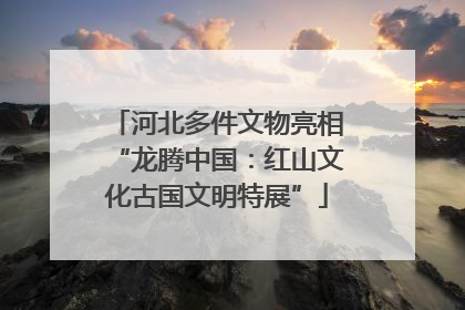 河北多件文物亮相“龙腾中国：红山文化古国文明特展”