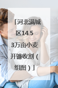 河北满城区14.53万亩小麦开镰收割（组图）