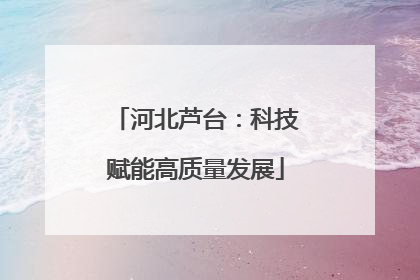 河北芦台：科技赋能高质量发展