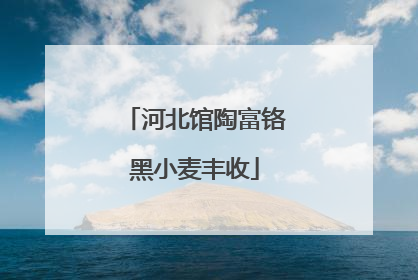 河北馆陶富铬黑小麦丰收