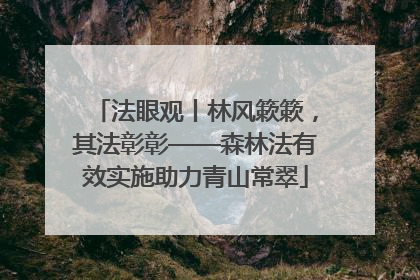 法眼观丨林风簌簌，其法彰彰——森林法有效实施助力青山常翠