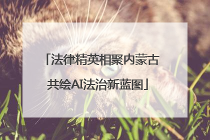 法律精英相聚内蒙古 共绘AI法治新蓝图